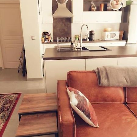 Ferienwohnung Le Cocon Romans-sur-Isère Exterior foto