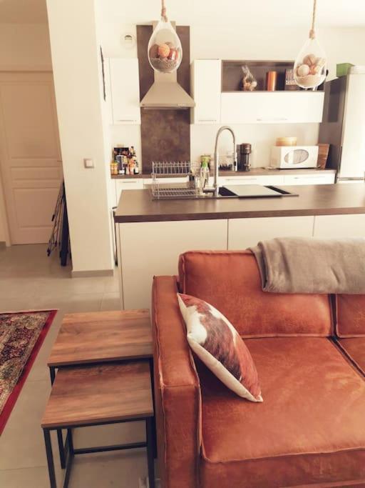 Ferienwohnung Le Cocon Romans-sur-Isère Exterior foto
